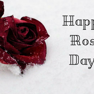 Happy Rose Day wallpaper