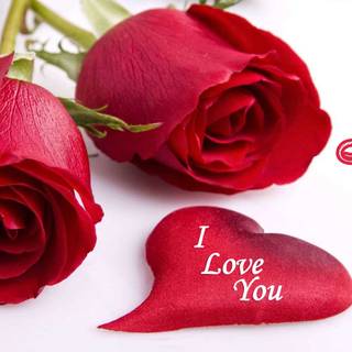 Happy Rose Day wallpaper