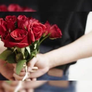 Happy Rose Day wallpaper