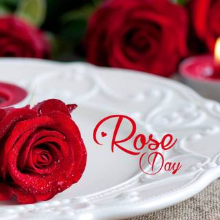 Happy Rose Day wallpaper