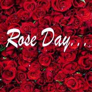Happy Rose Day wallpaper