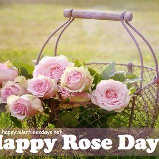 Happy Rose Day wallpaper