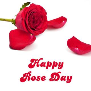 Happy Rose Day wallpaper