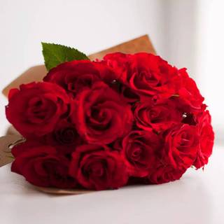 Happy Rose Day wallpaper