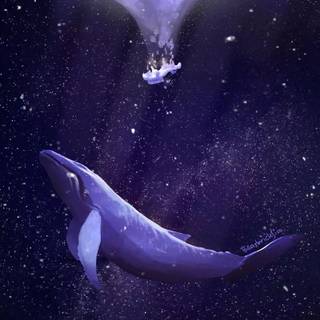 Whale aesthetic wallpaper