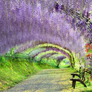 Japan country wallpaper