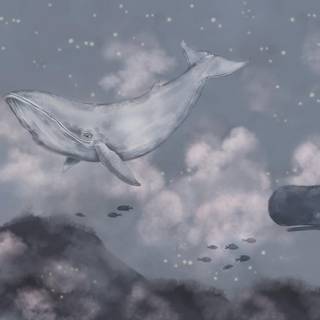Whale aesthetic wallpaper