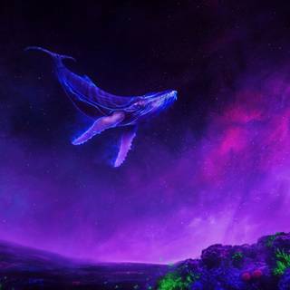 Whale aesthetic wallpaper