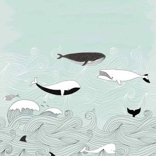 Whale aesthetic wallpaper