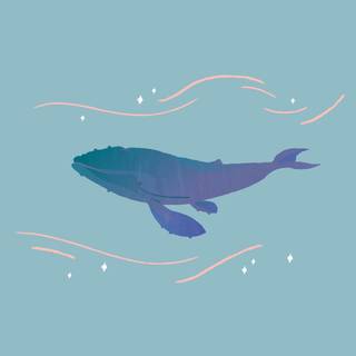 Whale aesthetic wallpaper