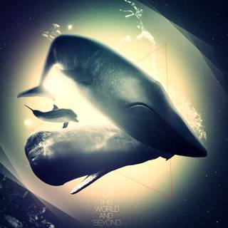 Whale aesthetic wallpaper