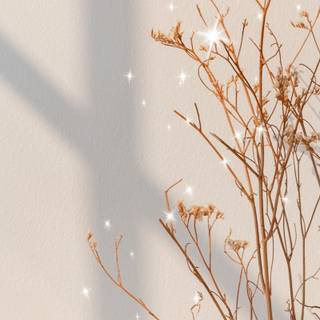 Spring white wallpaper