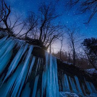 Japanese winter forest wallpaper