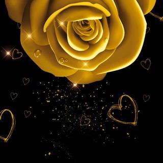 Yellow rose Valentines Day wallpaper