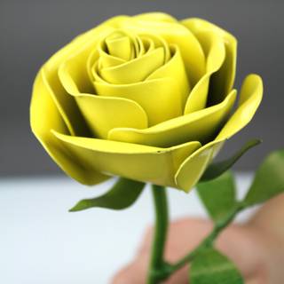 Yellow rose Valentines Day wallpaper