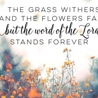 Bible verses laptop wallpaper