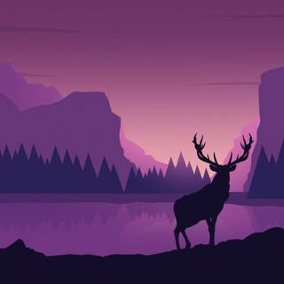 Reindeer 4k wallpaper