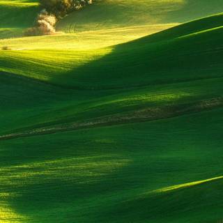 iPhone 14 Pro Max nature wallpaper