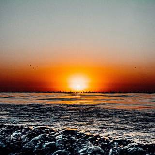 iPhone 14 Pro Max nature wallpaper