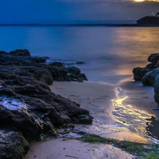 iPhone 14 Pro Max nature wallpaper