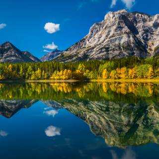 iPhone 14 Pro Max nature wallpaper