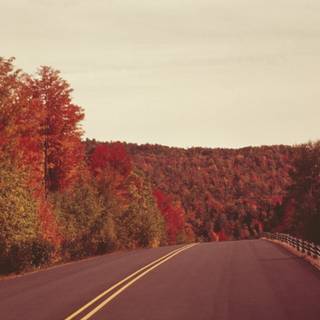 Red autumn aesthetic wallpaper