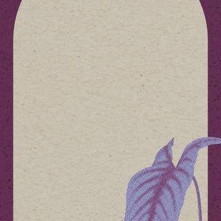 Retro aesthetic iPhone wallpaper