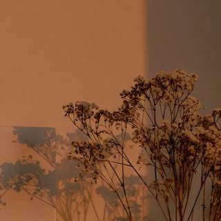 Retro aesthetic iPhone wallpaper