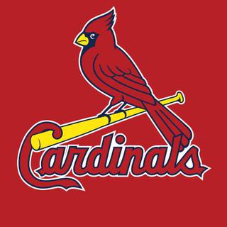 St. Louis Cardinals iPhone wallpaper