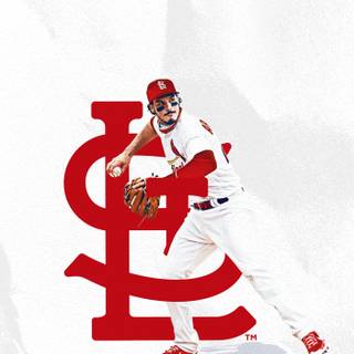 St. Louis Cardinals iPhone wallpaper