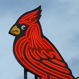 St. Louis Cardinals iPhone wallpaper