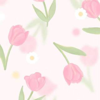 Coquette pink wallpaper