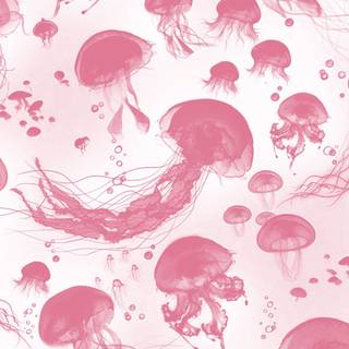 Pink jellyfish wallpaper
