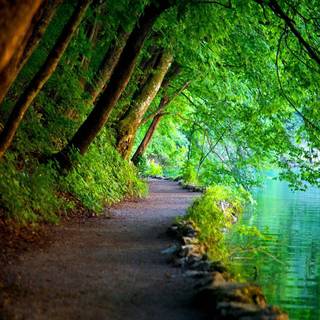 Peaceful scenery wallpaper