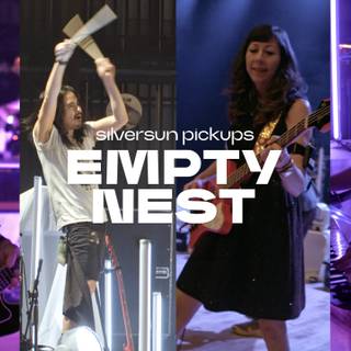 Silversun Pickups wallpaper