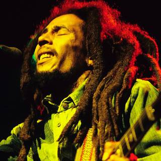 Bob Marley: One Love wallpaper