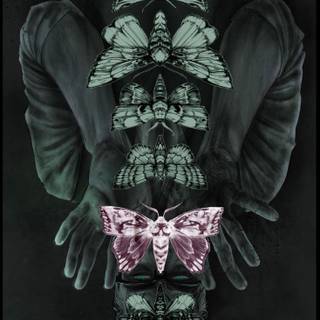 Magnus Archives phone wallpaper