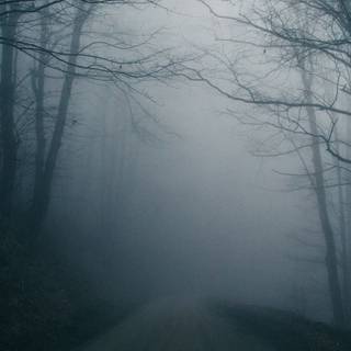 Aesthetic fog wallpaper