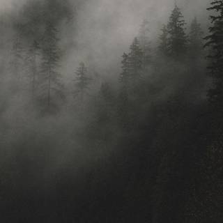 Aesthetic fog wallpaper