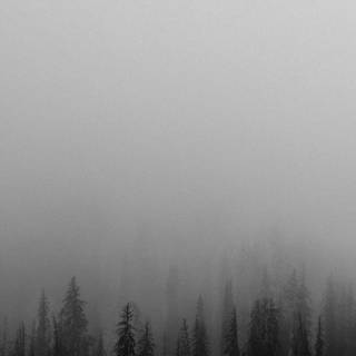 Aesthetic fog wallpaper