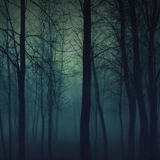 Aesthetic fog wallpaper