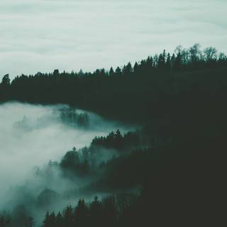Aesthetic fog wallpaper