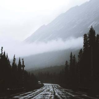 Aesthetic fog wallpaper