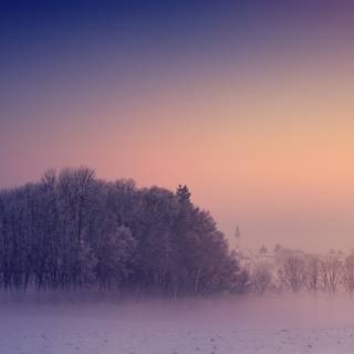 Aesthetic fog wallpaper