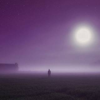 Aesthetic fog wallpaper