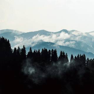 Aesthetic fog wallpaper