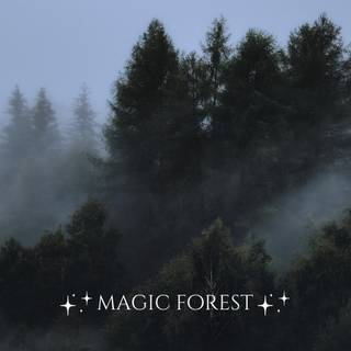 Aesthetic fog wallpaper