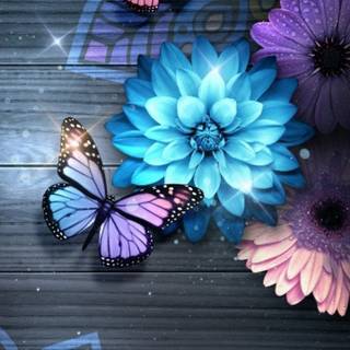 Flowers and butterflies iPhone wallpaper