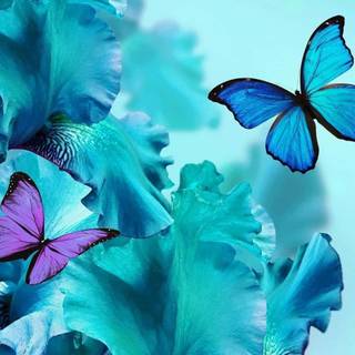 Flowers and butterflies iPhone wallpaper
