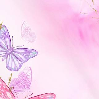 Flowers and butterflies iPhone wallpaper